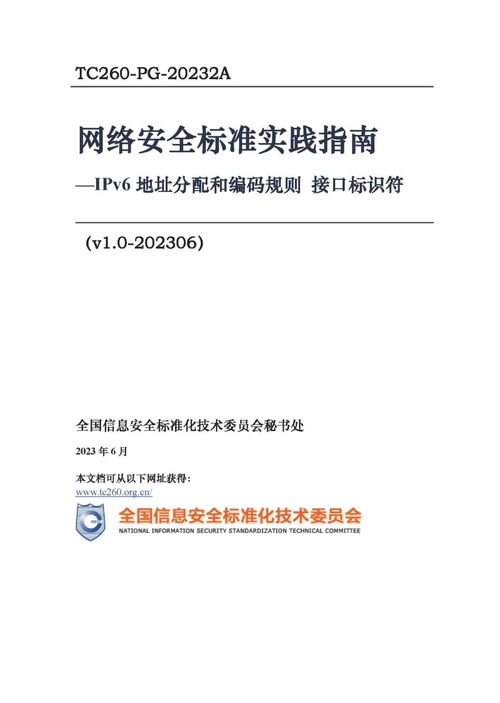 信安標委發布 網絡安全標準實踐指南 ipv6地址分配和編碼規則 接口標識符